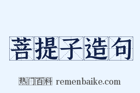 菩提子造句是什么意思的图片